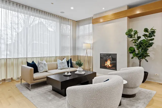 a living room with furniture potted plant and a fireplace