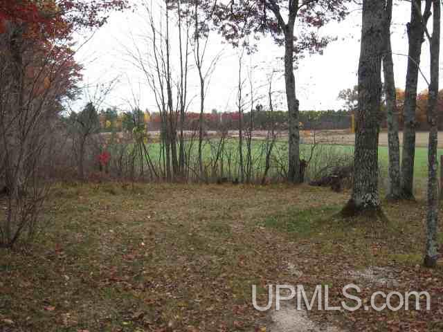 T-wi Bear View Lane Amberg, WI 54102 - Photo 4 of 8