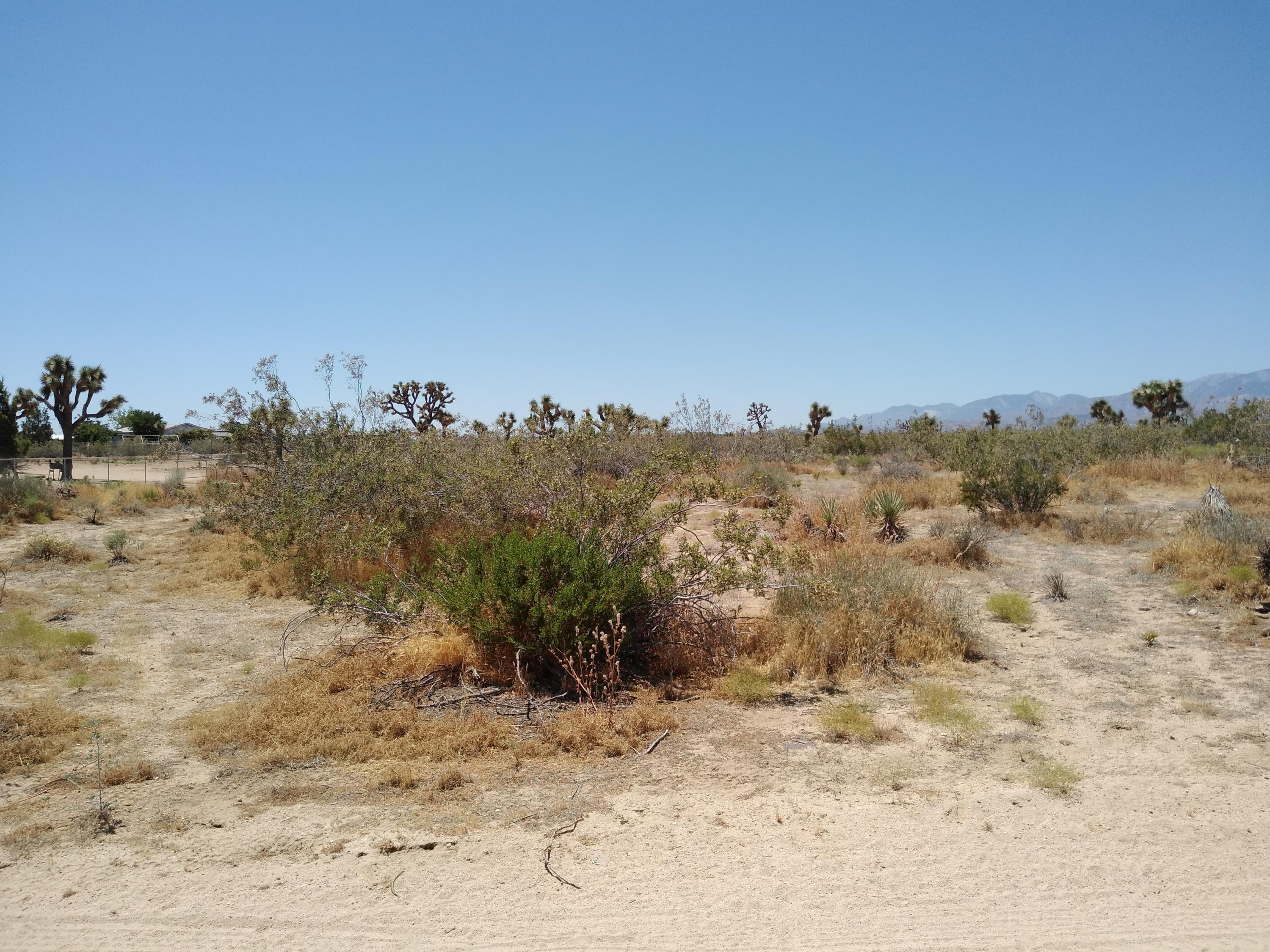 Estero Road Phelan, CA 92371 - Photo 9 of 14 a view of a beach with a mountain in the background