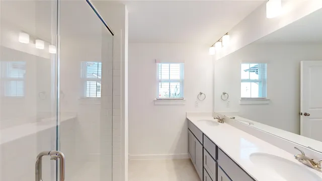 a bathroom with a double vanity sink a mirror and a shower