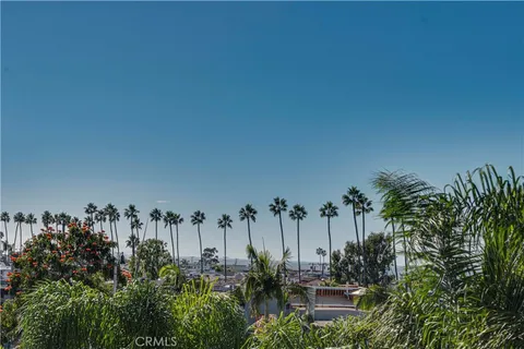 a view of a swimming pool with a garden