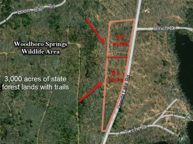 Lot 5-6 Oneida Lake Road Harshaw, WI 54529 - Photo 1 of 8 Gallery Image 1