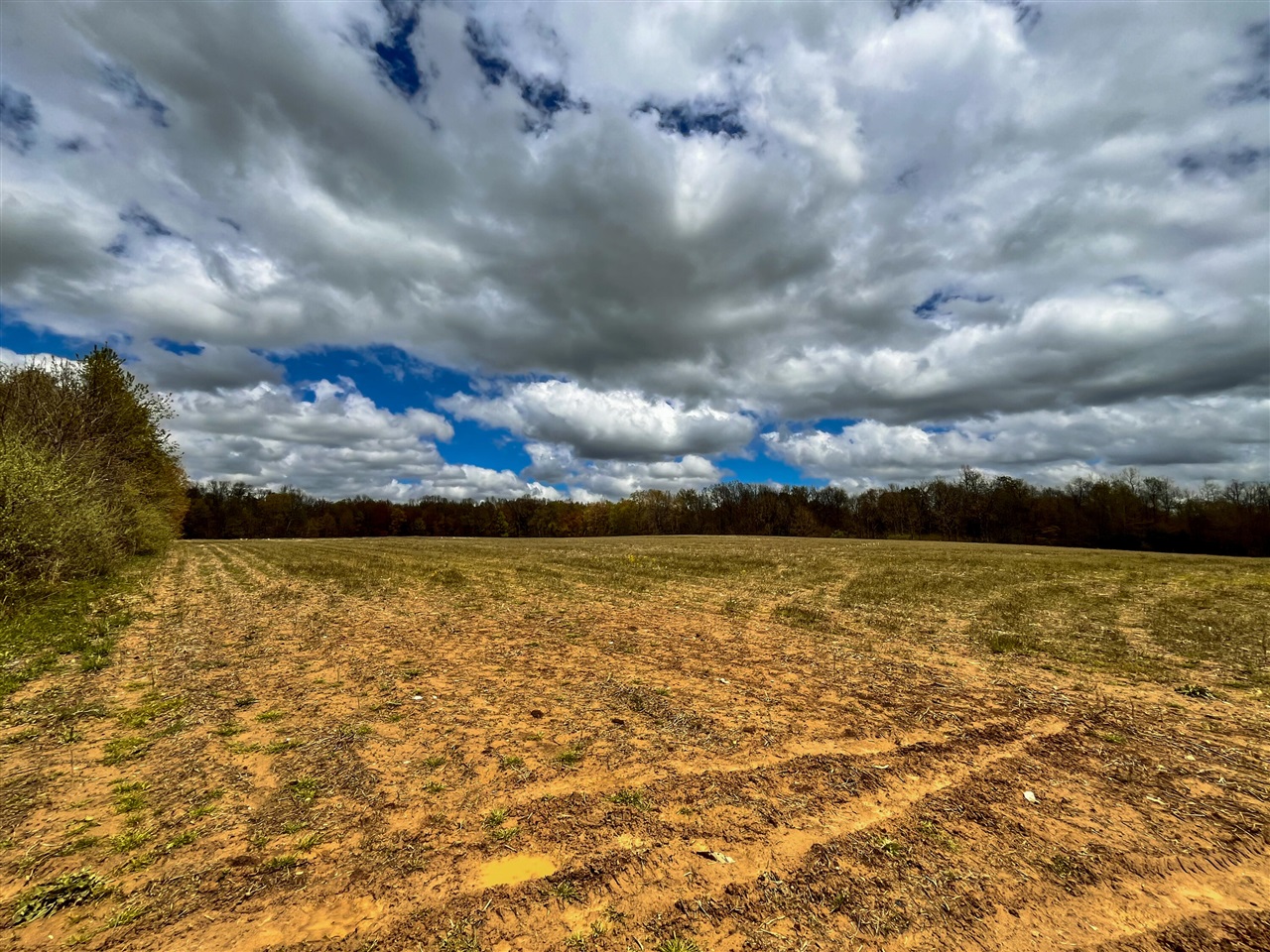 5911 Baseline Road Grand Junction, MI 49056 - Photo 3 of 6 Gallery Image 3