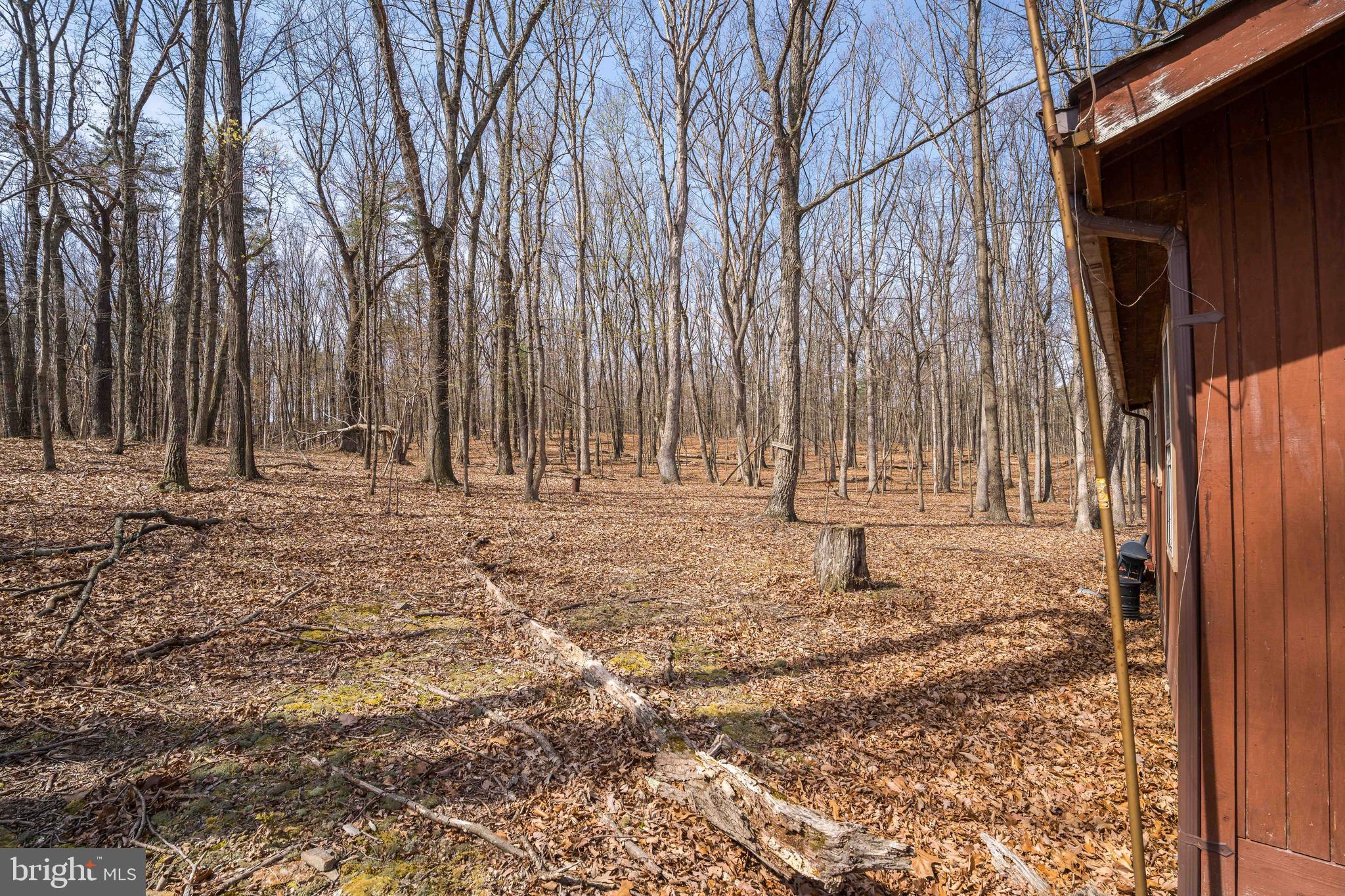 980 Adams Road Winchester, VA 22603 - Photo 20 of 50