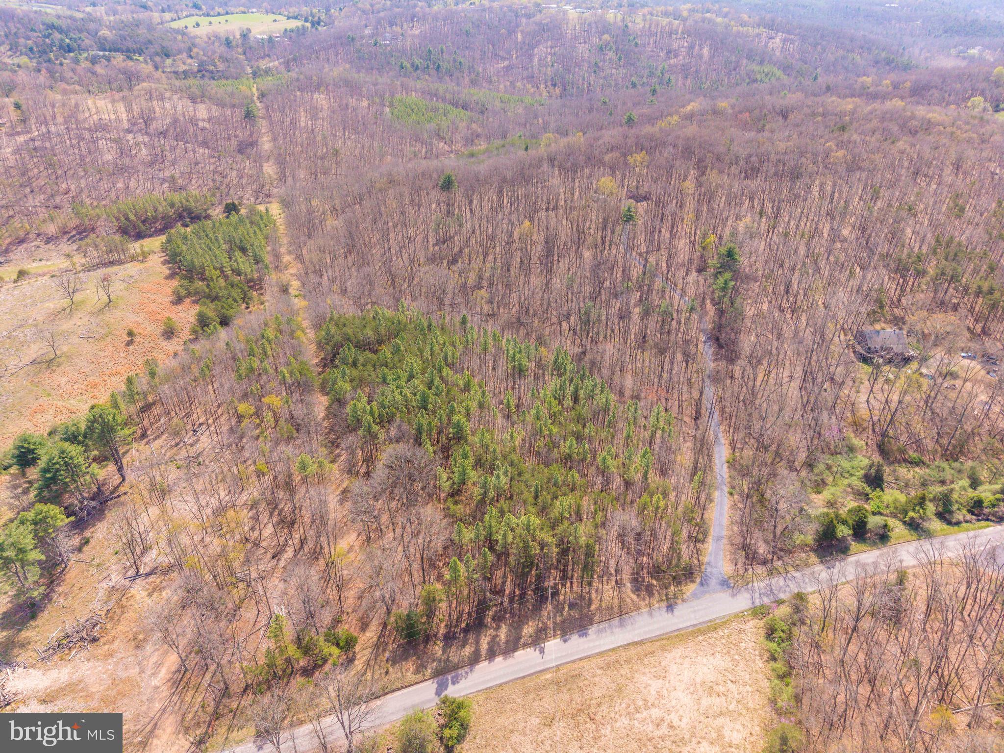 980 Adams Road Winchester, VA 22603 - Photo 2 of 50