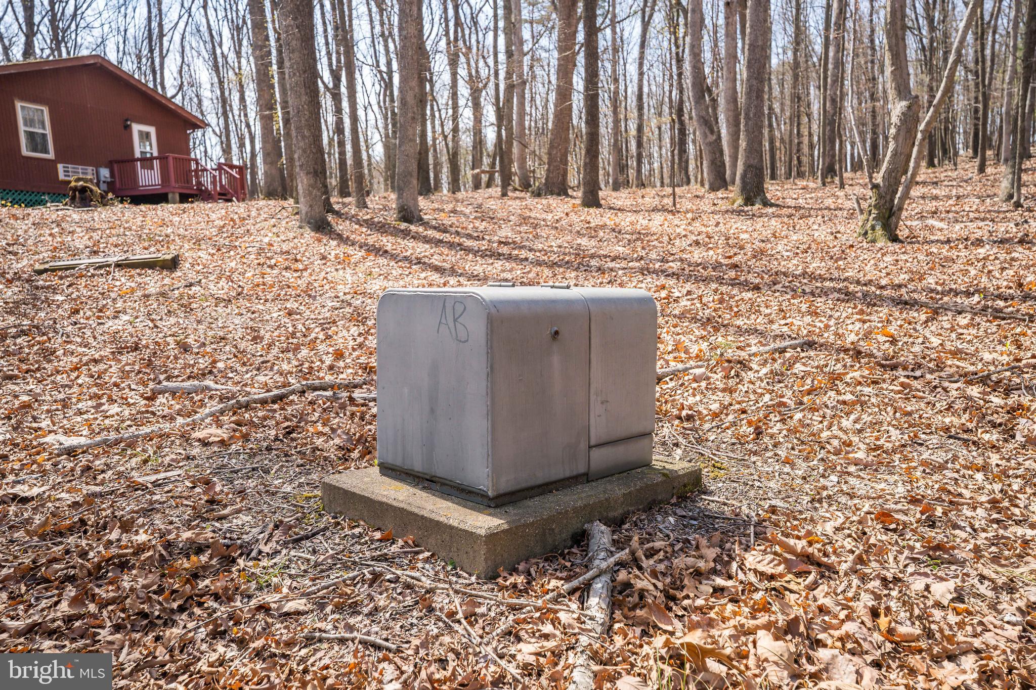 980 Adams Road Winchester, VA 22603 - Photo 21 of 50