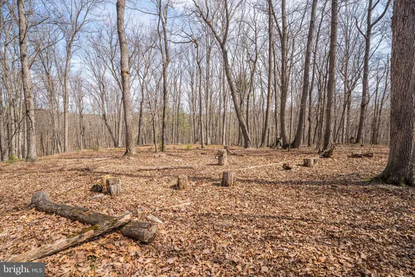 $450,000 | 980 Adams Road, Winchester, VA 22603