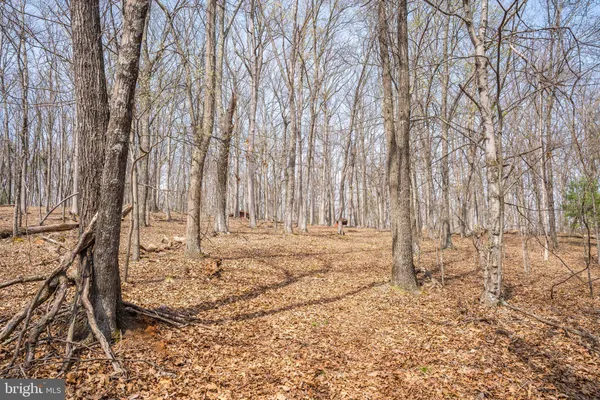 $450,000 | 980 Adams Road, Winchester, VA 22603