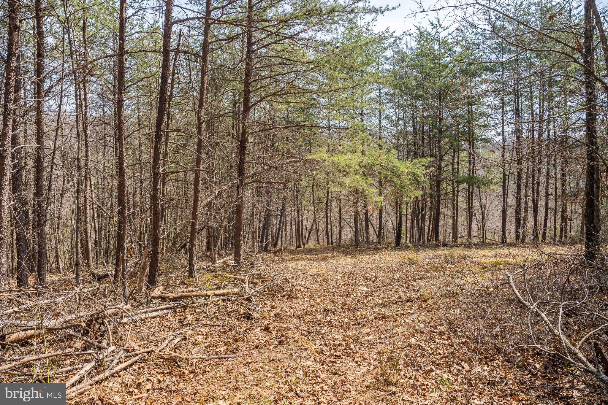 980 Adams Road Winchester, VA 22603 - Photo 28 of 50