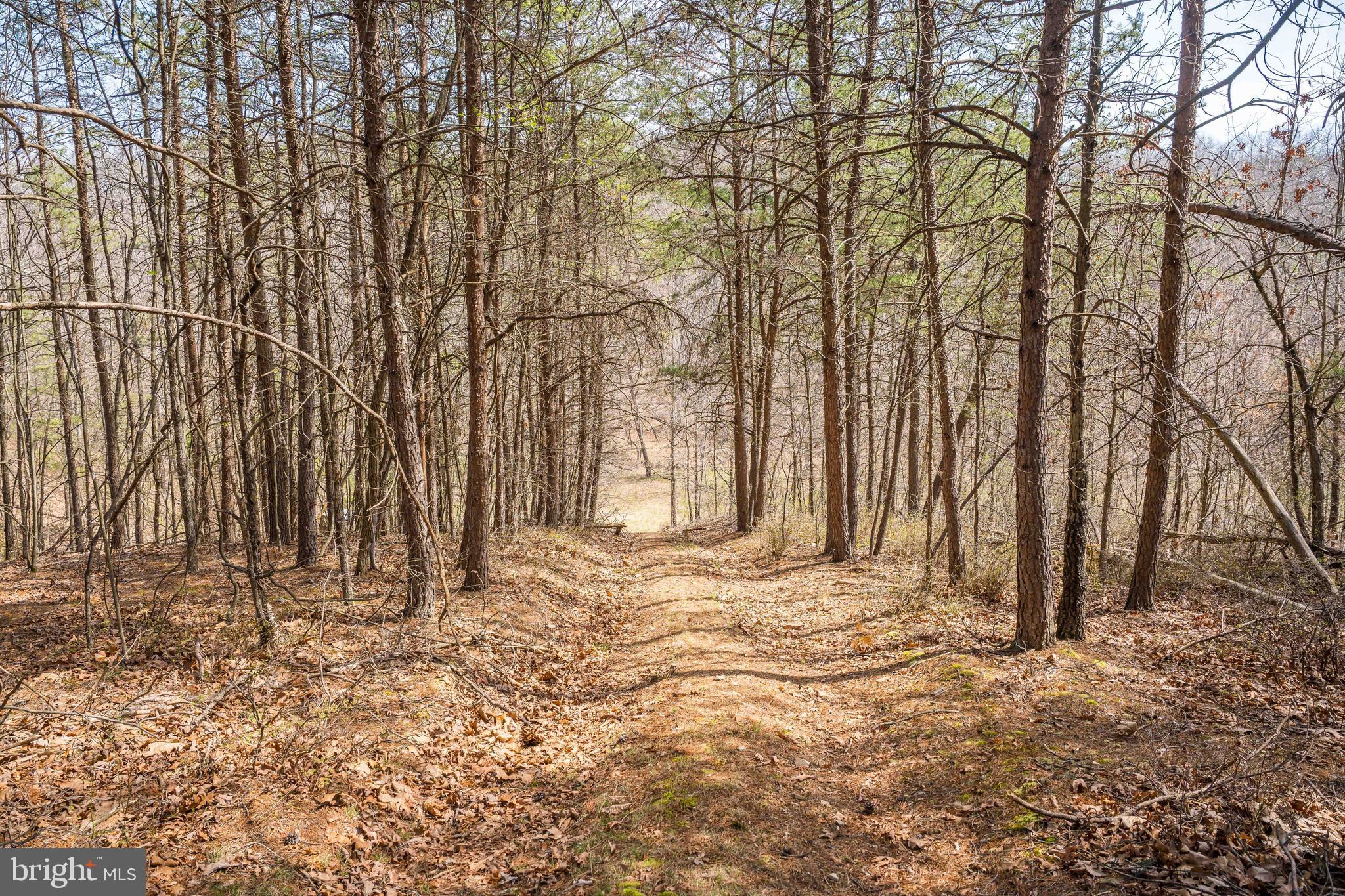 980 Adams Road Winchester, VA 22603 - Photo 29 of 50