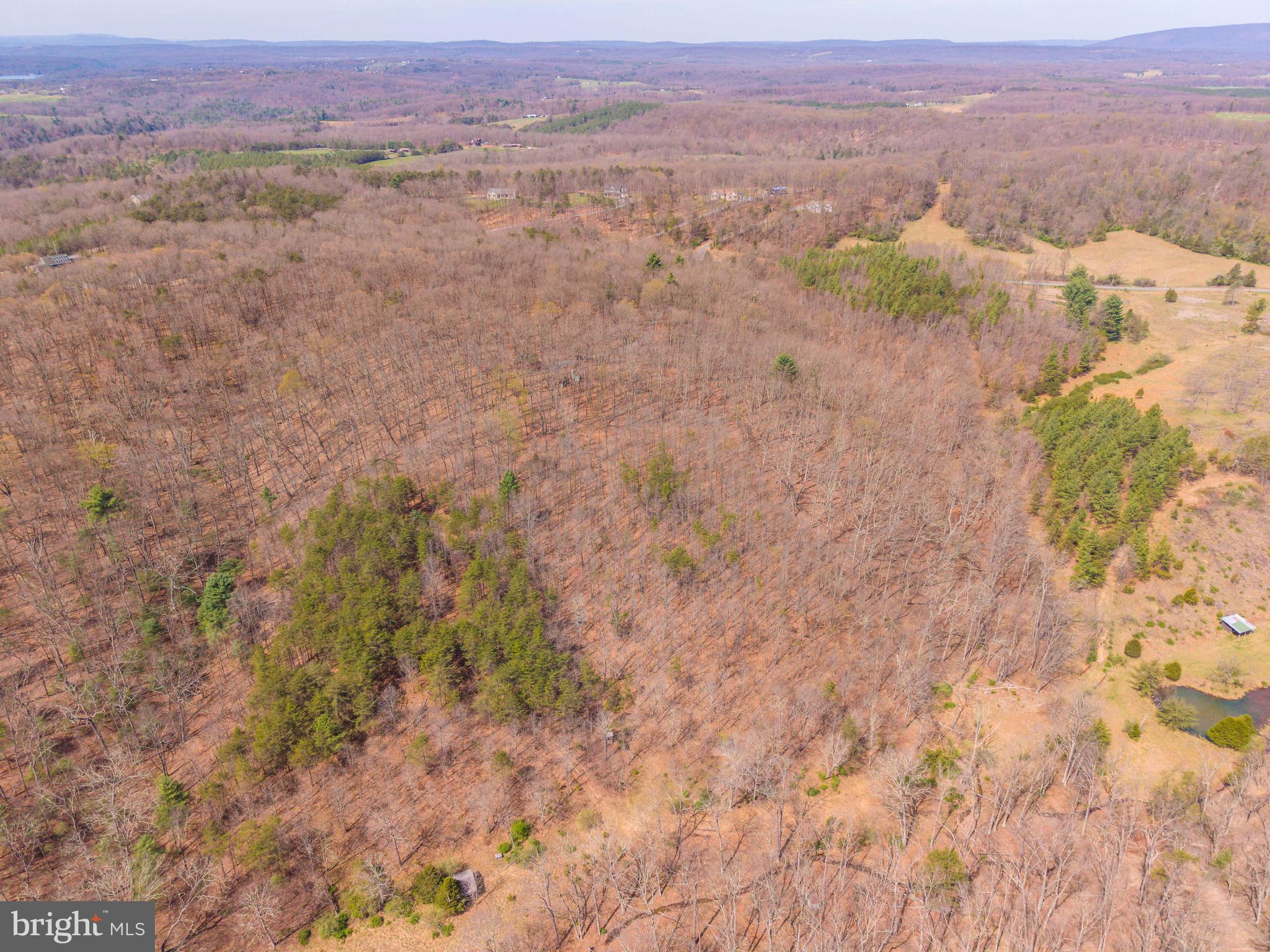 980 Adams Road Winchester, VA 22603 - Photo 3 of 50