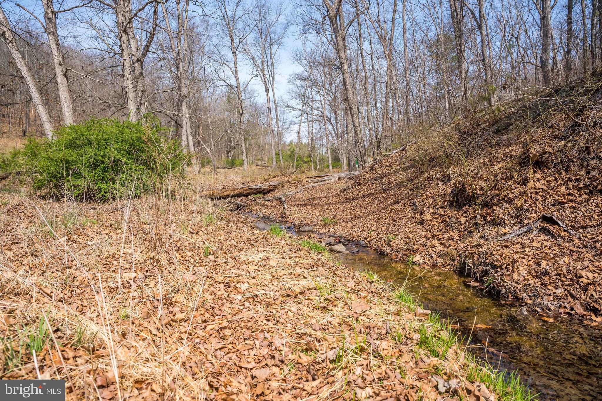 980 Adams Road Winchester, VA 22603 - Photo 31 of 50