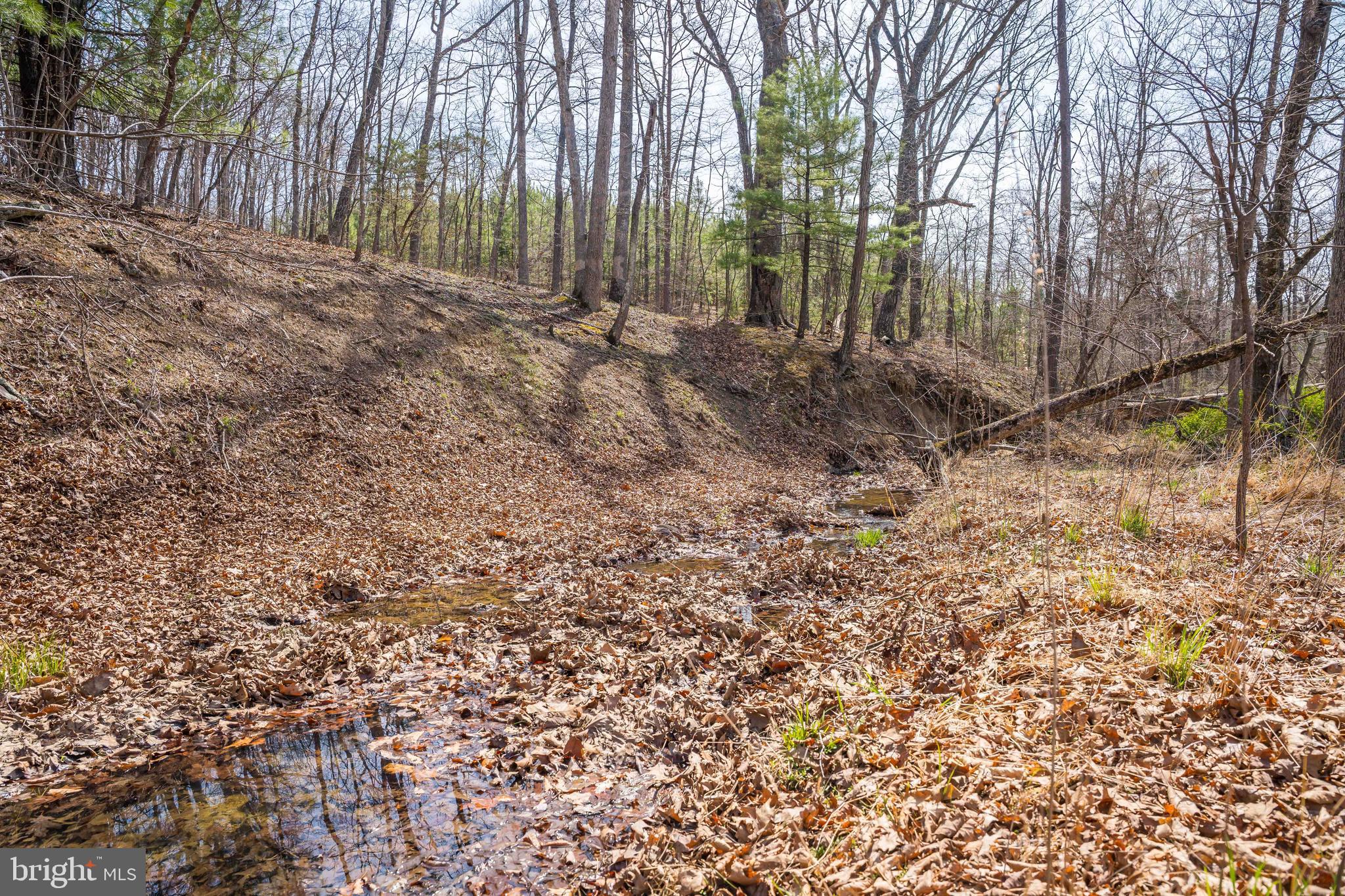 980 Adams Road Winchester, VA 22603 - Photo 32 of 50