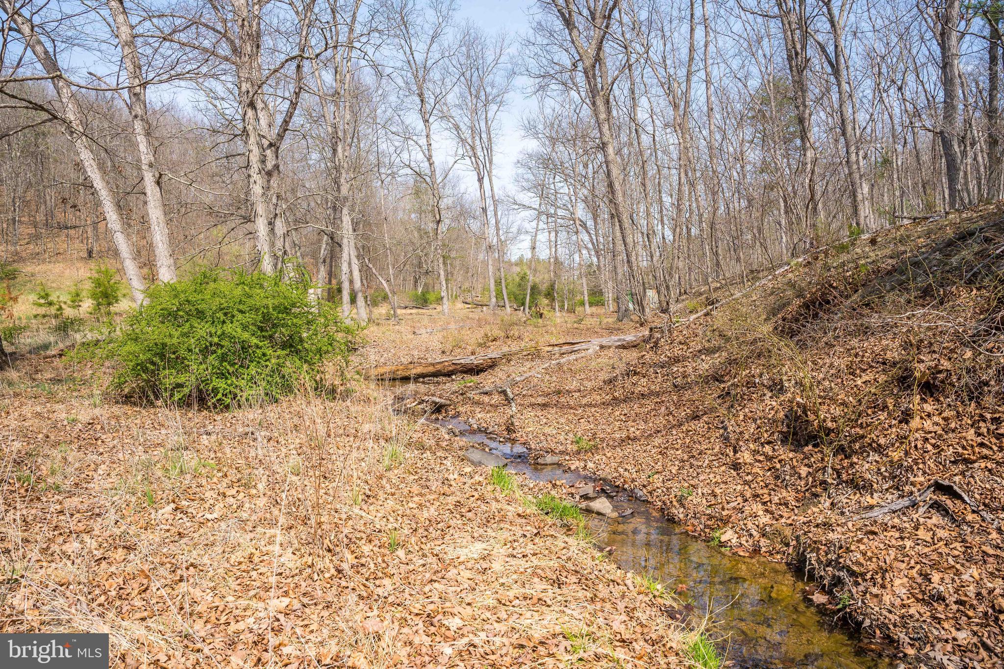 980 Adams Road Winchester, VA 22603 - Photo 33 of 50