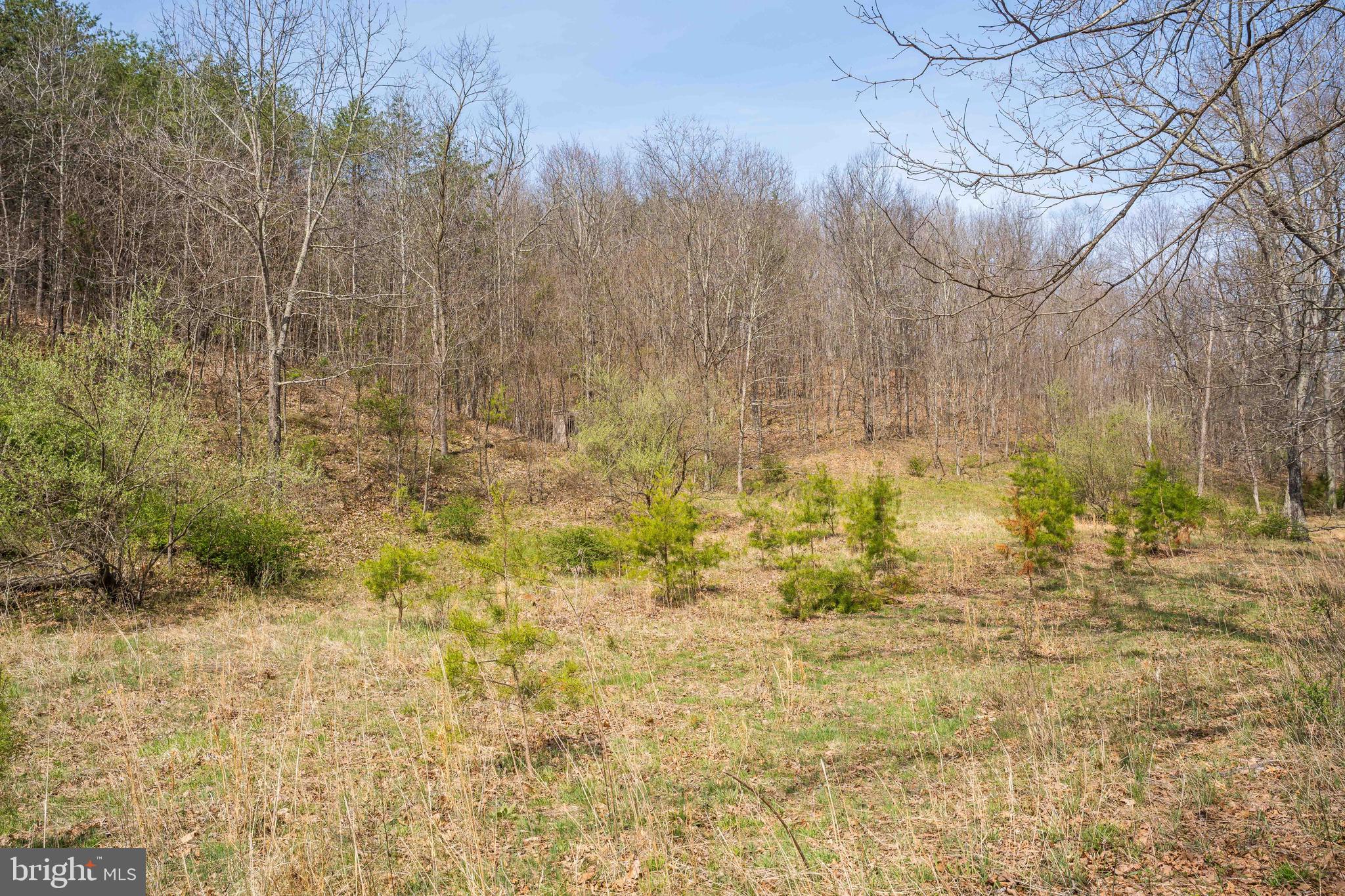 980 Adams Road Winchester, VA 22603 - Photo 34 of 50