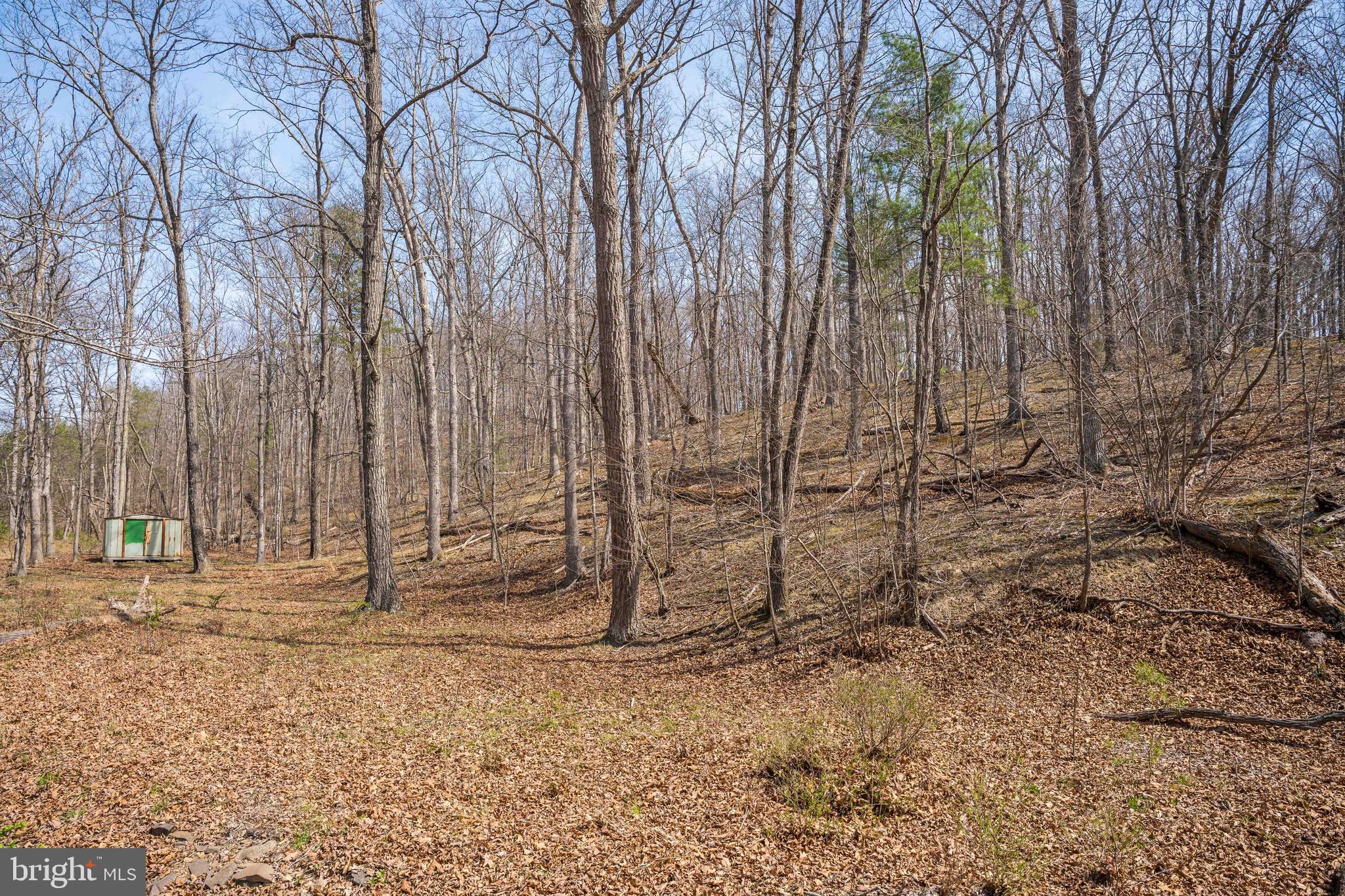 980 Adams Road Winchester, VA 22603 - Photo 37 of 50