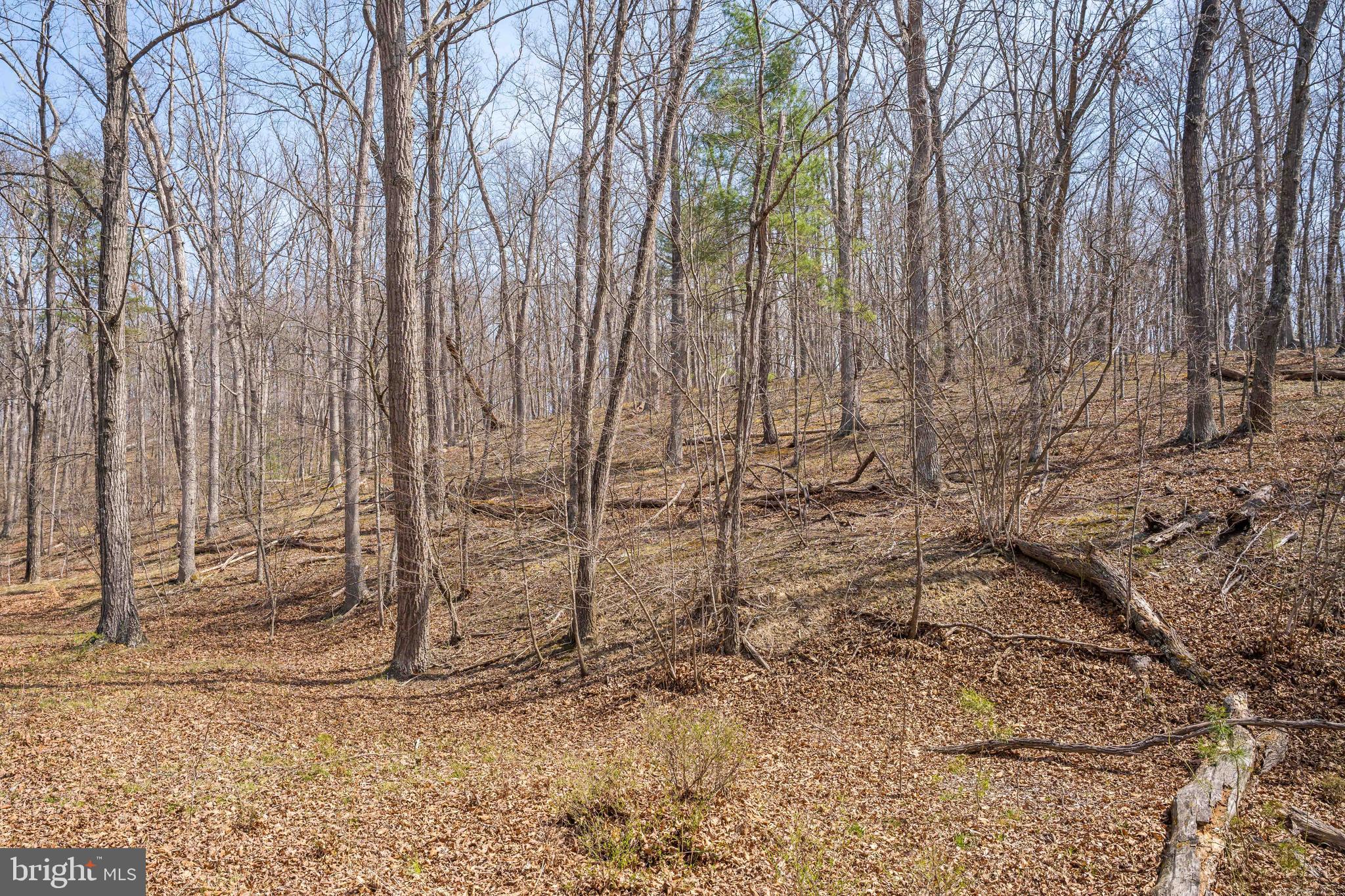 980 Adams Road Winchester, VA 22603 - Photo 38 of 50