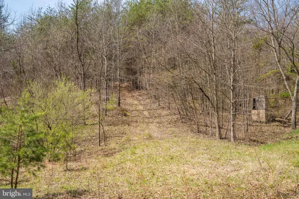 $450,000 | 980 Adams Road, Winchester, VA 22603