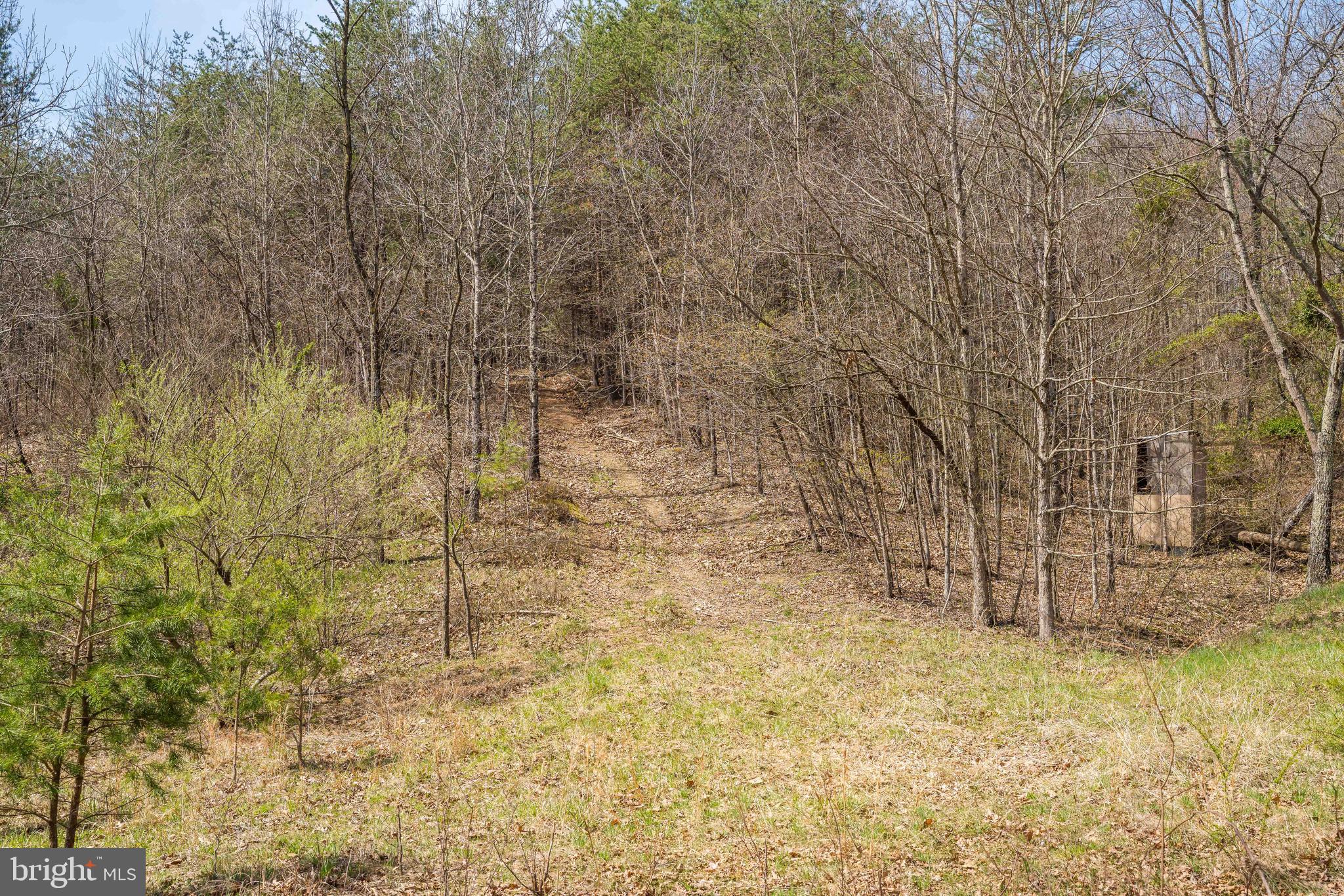 980 Adams Road Winchester, VA 22603 - Photo 39 of 50