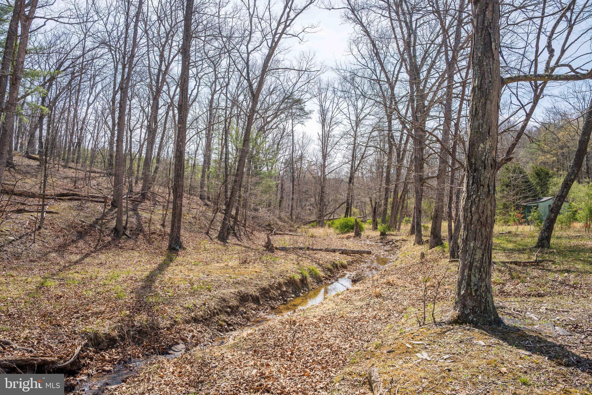 980 Adams Road Winchester, VA 22603 - Photo 40 of 50