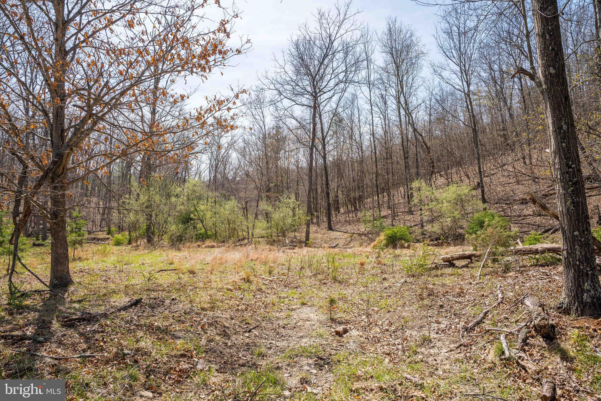 980 Adams Road Winchester, VA 22603 - Photo 45 of 50