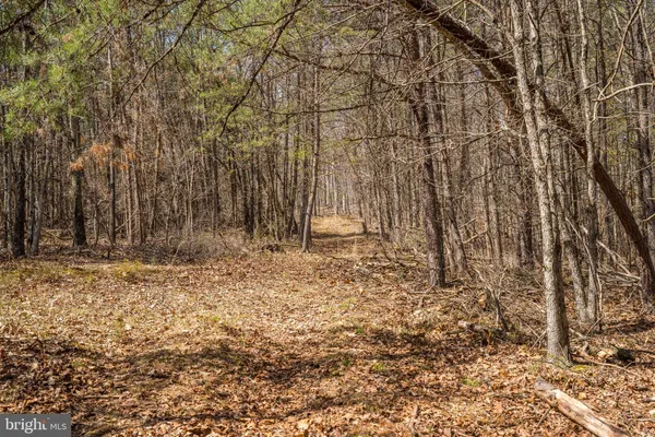 $450,000 | 980 Adams Road, Winchester, VA 22603