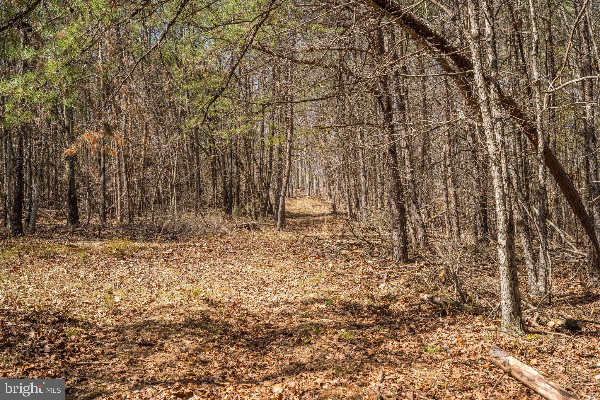 980 Adams Road Winchester, VA 22603 - Photo 46 of 50