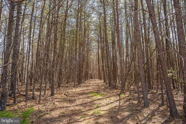 $450,000 | 980 Adams Road, Winchester, VA 22603