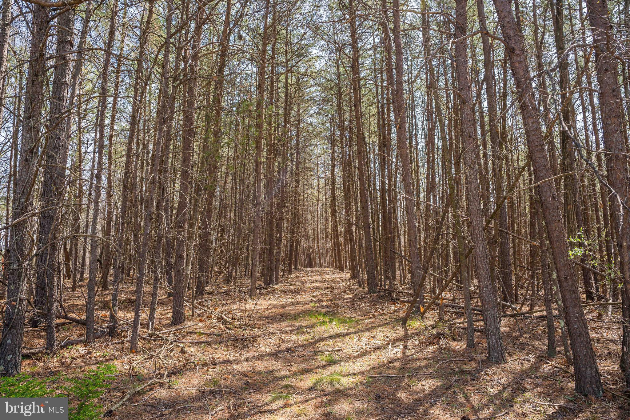 980 Adams Road Winchester, VA 22603 - Photo 48 of 50