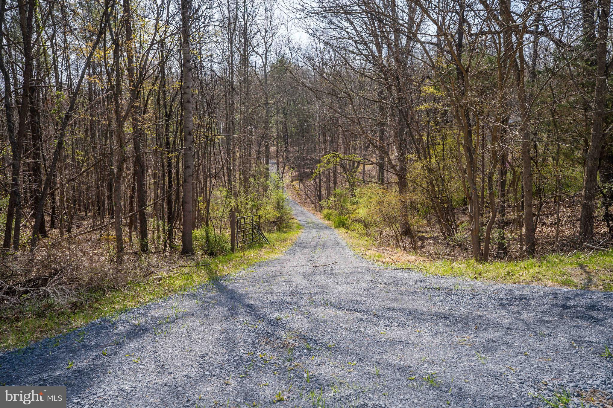 980 Adams Road Winchester, VA 22603 - Photo 49 of 50