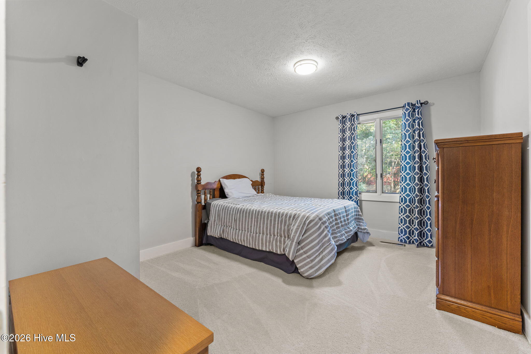 107 Hastings Road West End, NC 27376 - Photo 33 of 66 18-web-or-mls-DSC05798