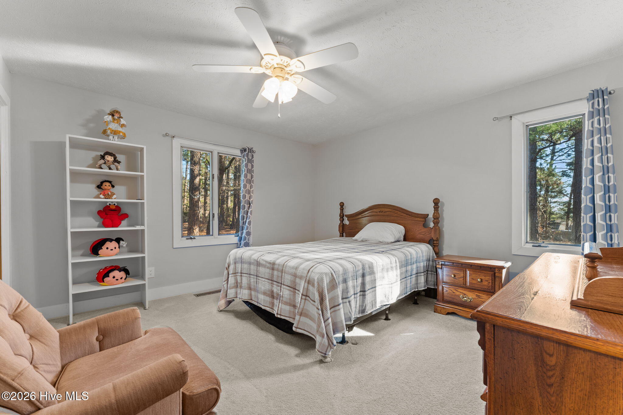 107 Hastings Road West End, NC 27376 - Photo 35 of 66 20-web-or-mls-DSC05804