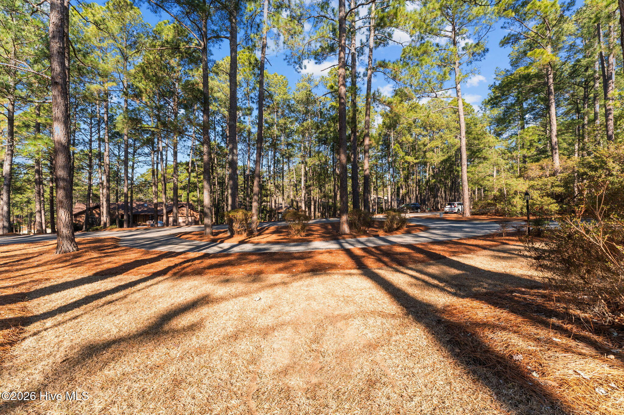 107 Hastings Road West End, NC 27376 - Photo 44 of 66 43-web-or-mls-DSC05879