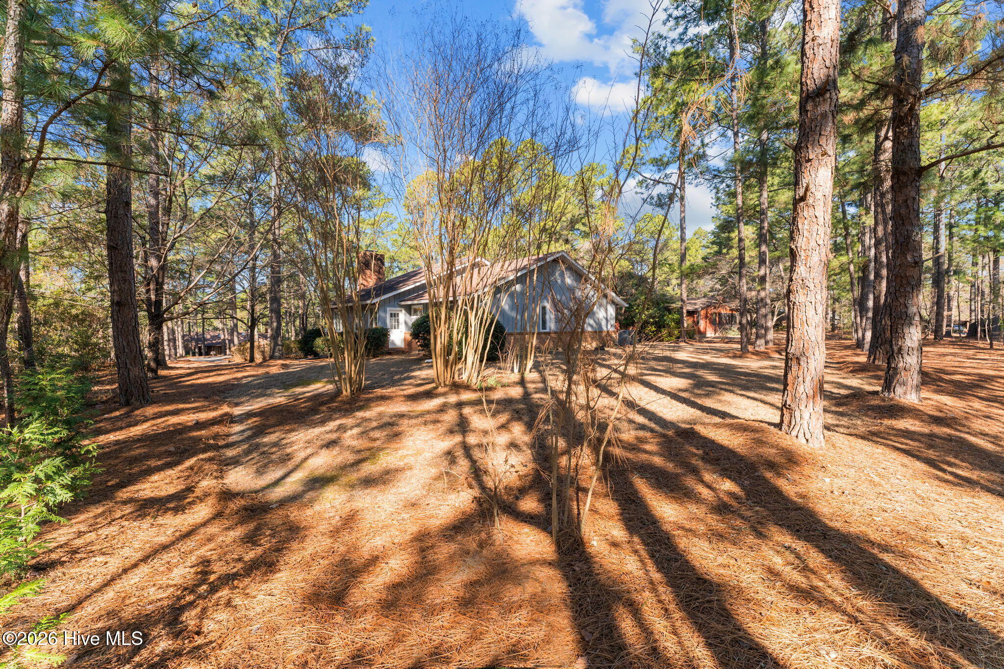 107 Hastings Road West End, NC 27376 - Photo 45 of 66 44-web-or-mls-DSC05881