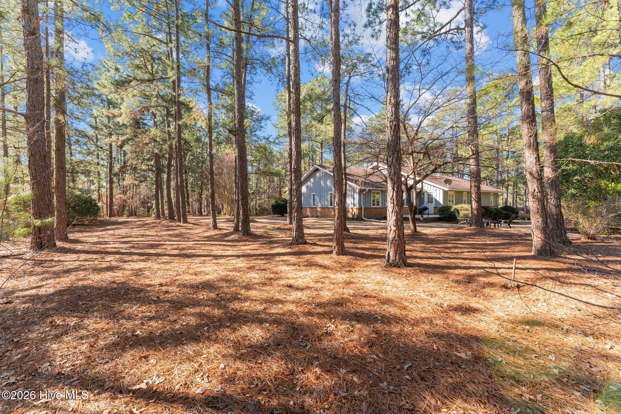 107 Hastings Road West End, NC 27376 - Photo 53 of 66 54-web-or-mls-DSC05893