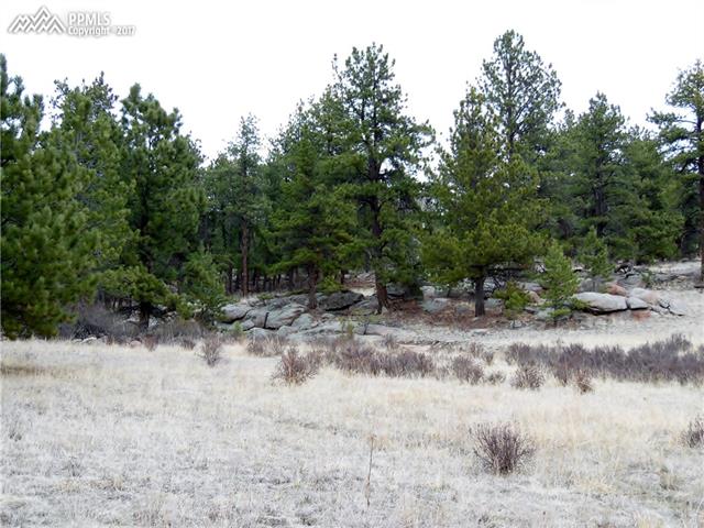 52 Doe Valley Road Guffey, CO 80820 - Photo 4 of 20 Gallery Image 4