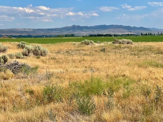 Tbd Center Pleasant Valley Road American Falls, ID 83211 - Photo 5 of 6 Gallery Image 5