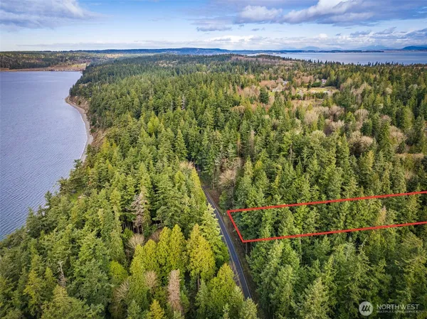 a bird view of a garden