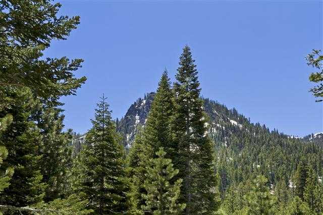 1595 Alpine Meadows Road Alpine Meadows, CA 96146 - Photo 8 of 12