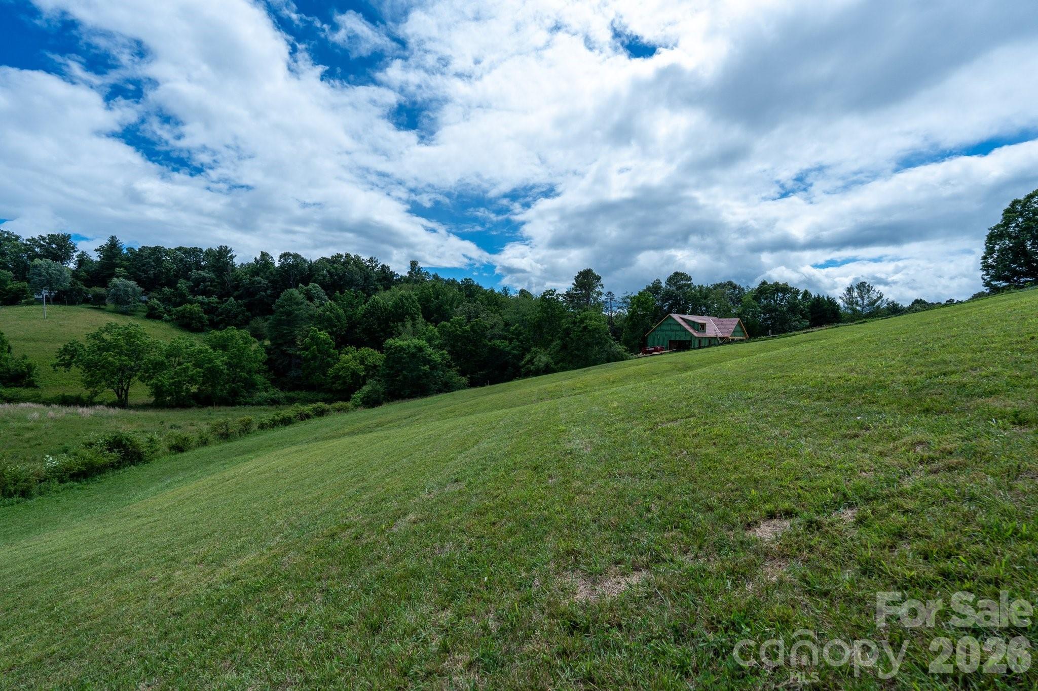 112 Grandview Road Alexander, NC 28701 - Photo 3 of 27