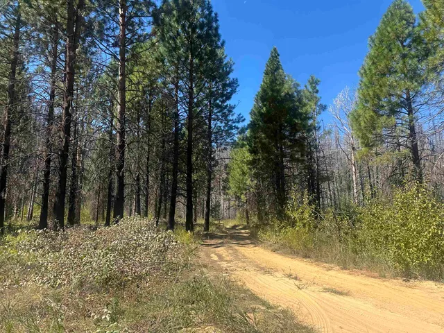 a view of a backyard of the house