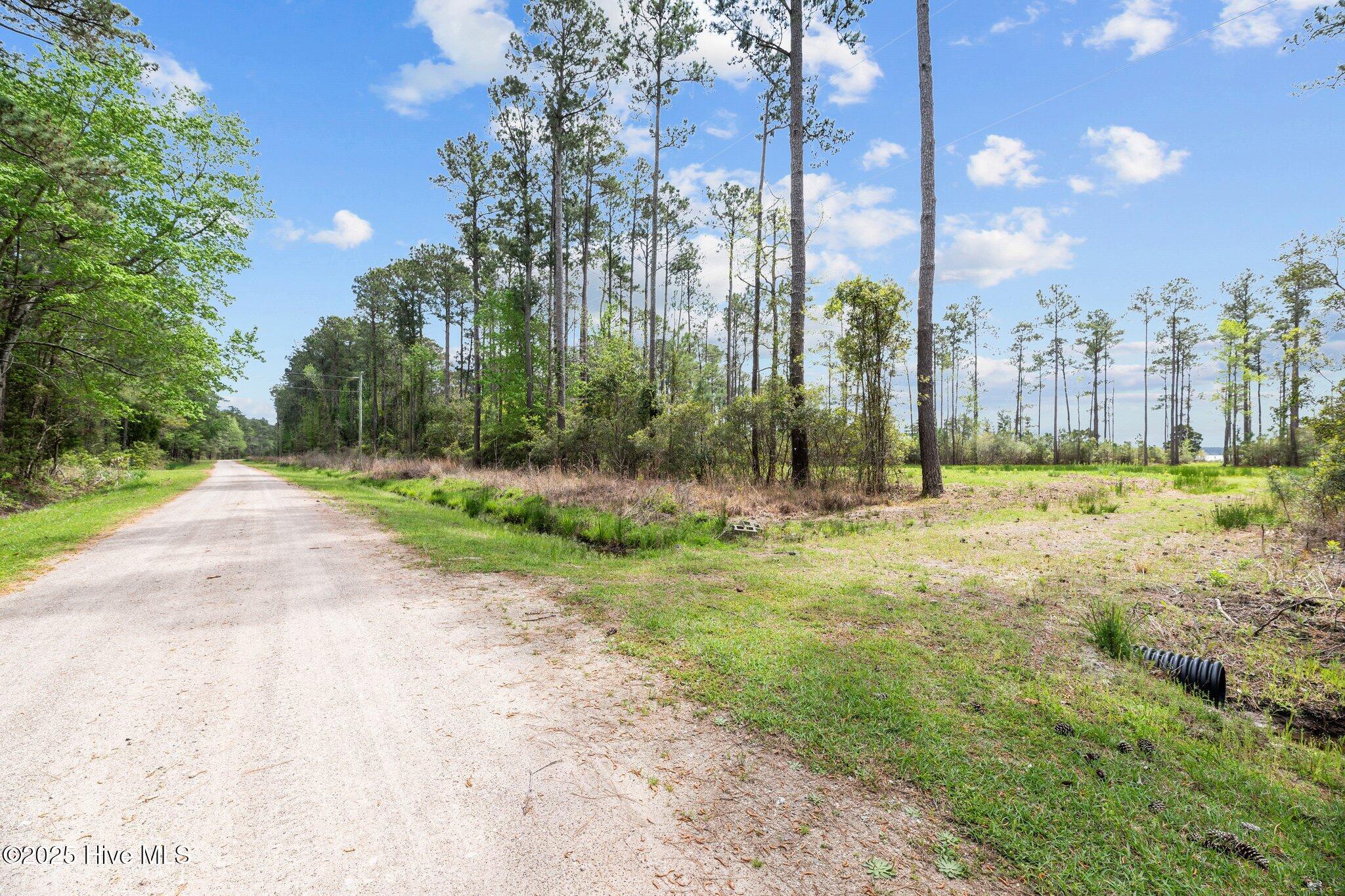 3411 Upper Neck Road Bayboro, NC 28515 - Photo 4 of 16 Driveway 2 to cleared homesite