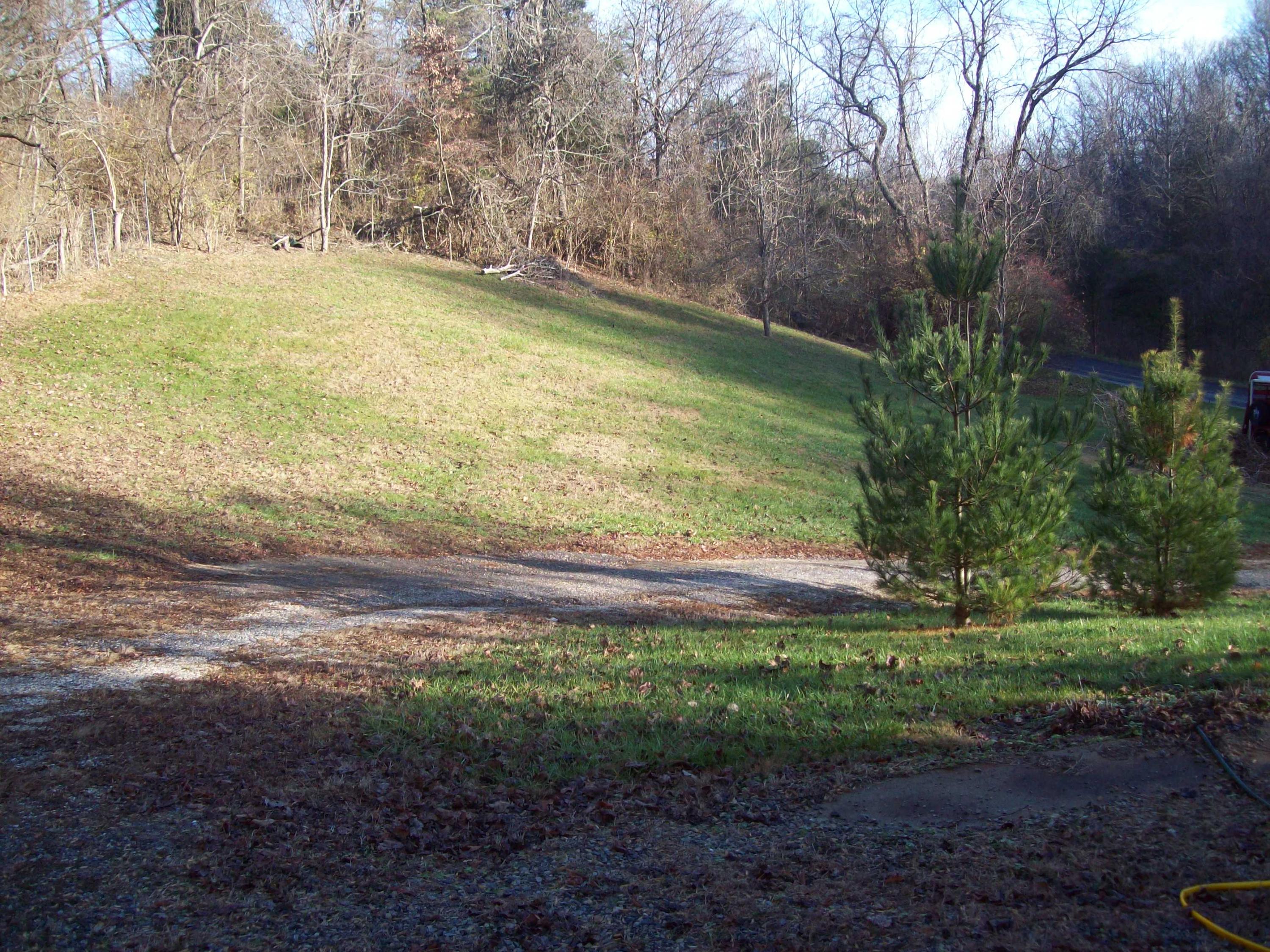 207 Parsons Road Troutville, VA 24175 - Photo 4 of 7 Driveway