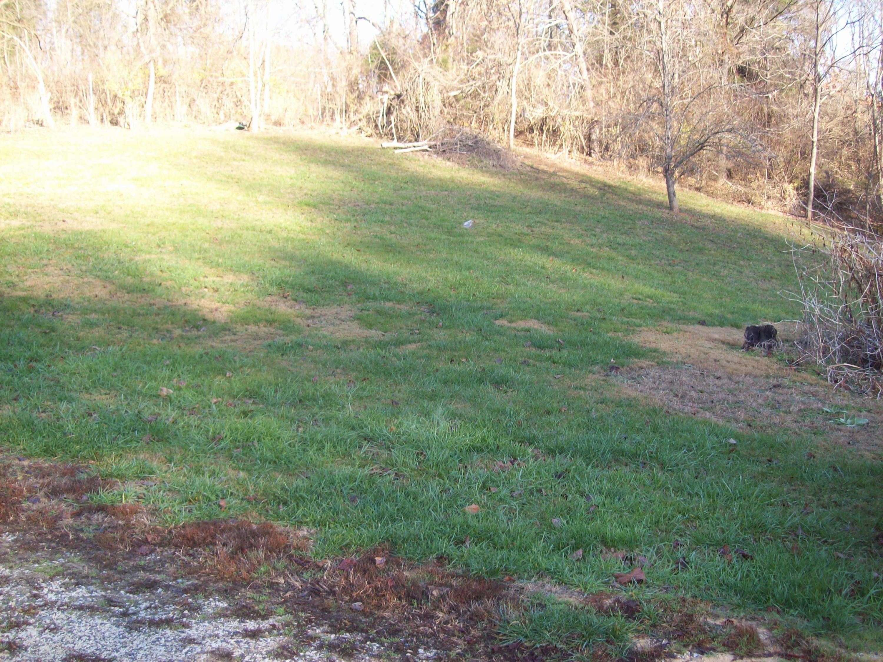 207 Parsons Road Troutville, VA 24175 - Photo 5 of 7 Land