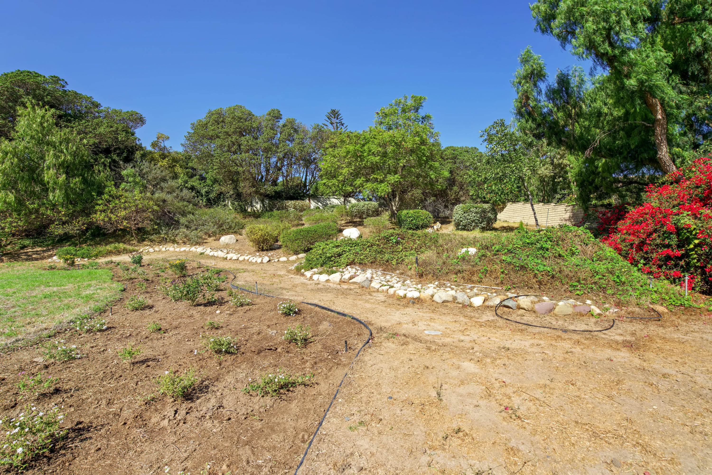 6670 Armitos Drive Camarillo, CA 93012 - Photo 35 of 35 a yard with a tree in the background