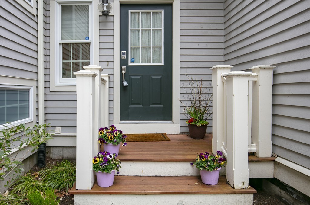 a front view of a house with a potted plant