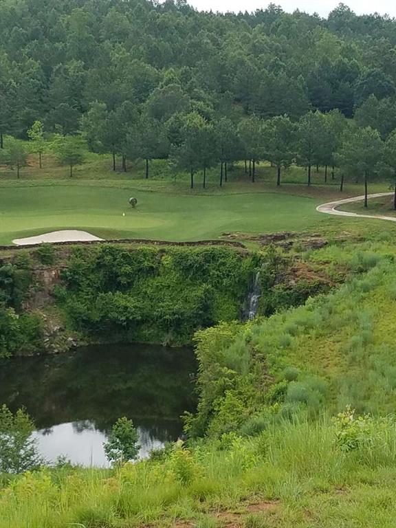 915 Edgewater Trail Toccoa, GA 30577 - Photo 14 of 22 a view of a garden