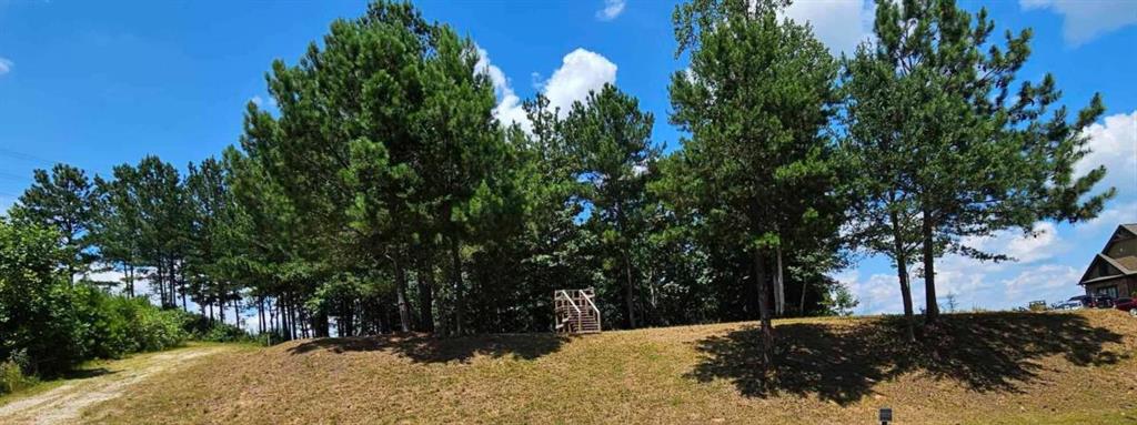 915 Edgewater Trail Toccoa, GA 30577 - Photo 2 of 22 a view of a yard with large trees