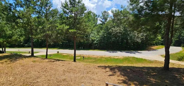 a view of a swimming pool with a backyard
