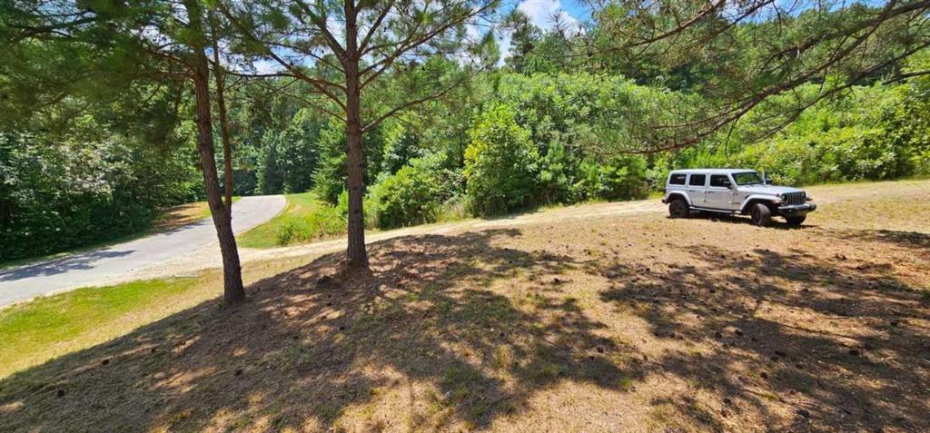 915 Edgewater Trail Toccoa, GA 30577 - Photo 6 of 22 a wooden bench sitting in the middle of a yard